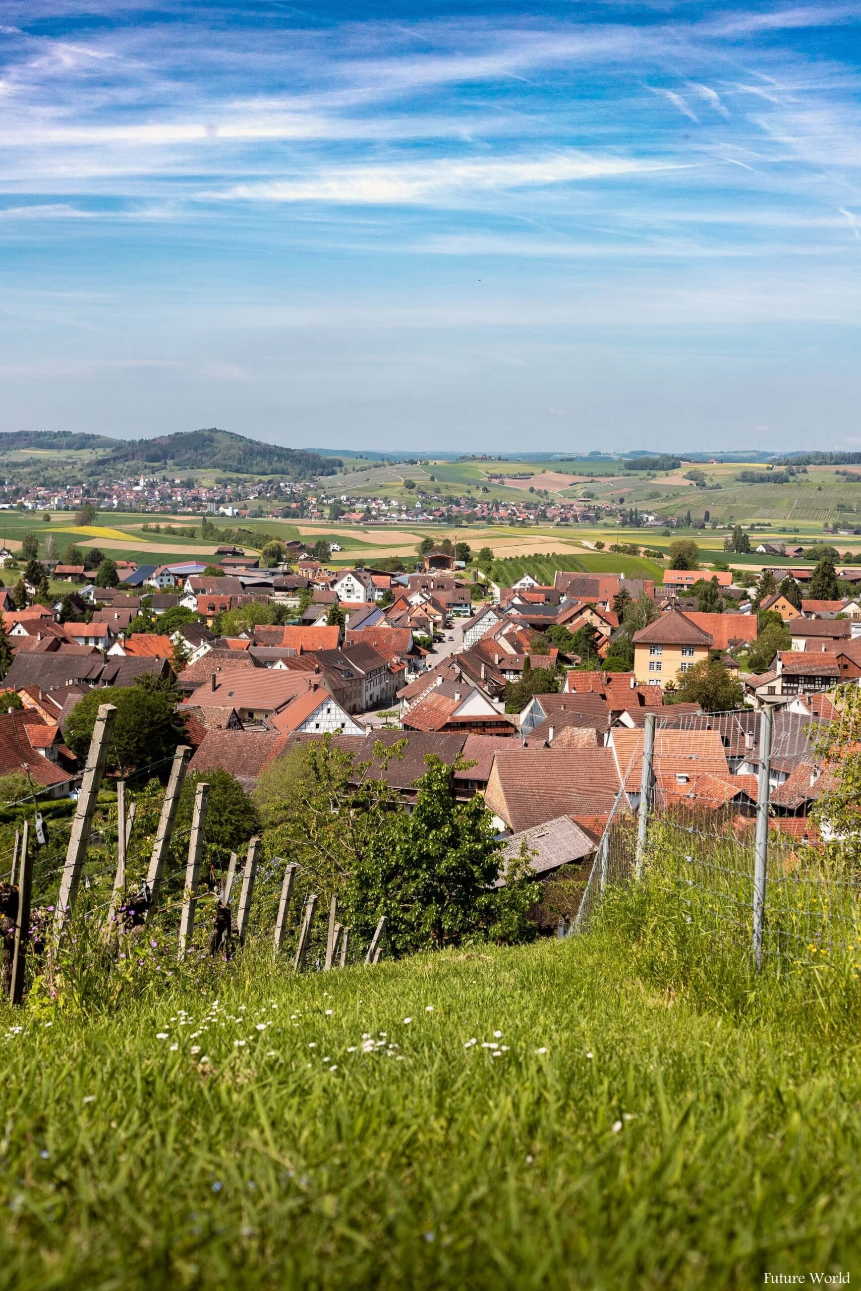 Best Things To Do In Wilchingen