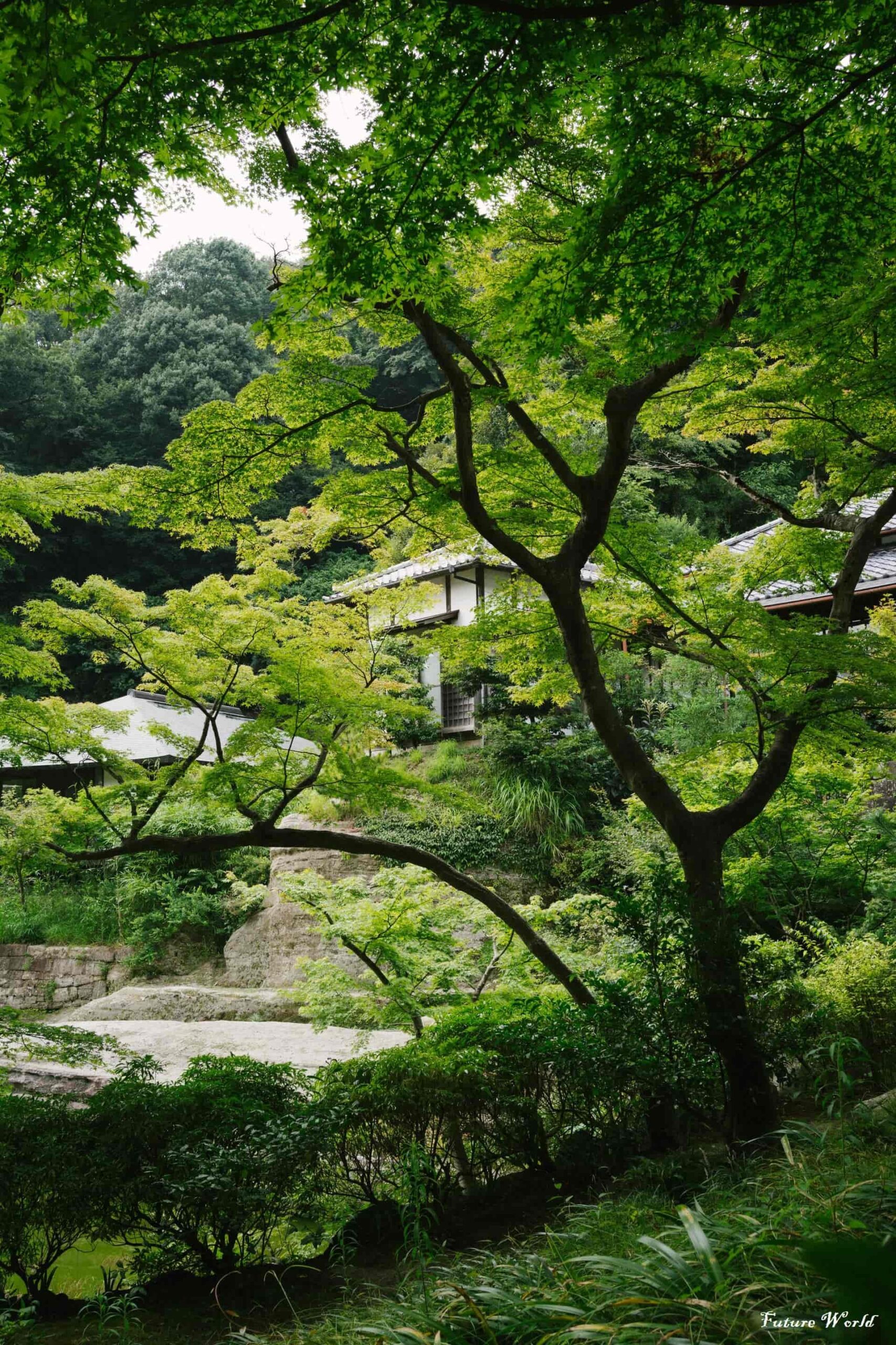 Best places to visit in Kamakura