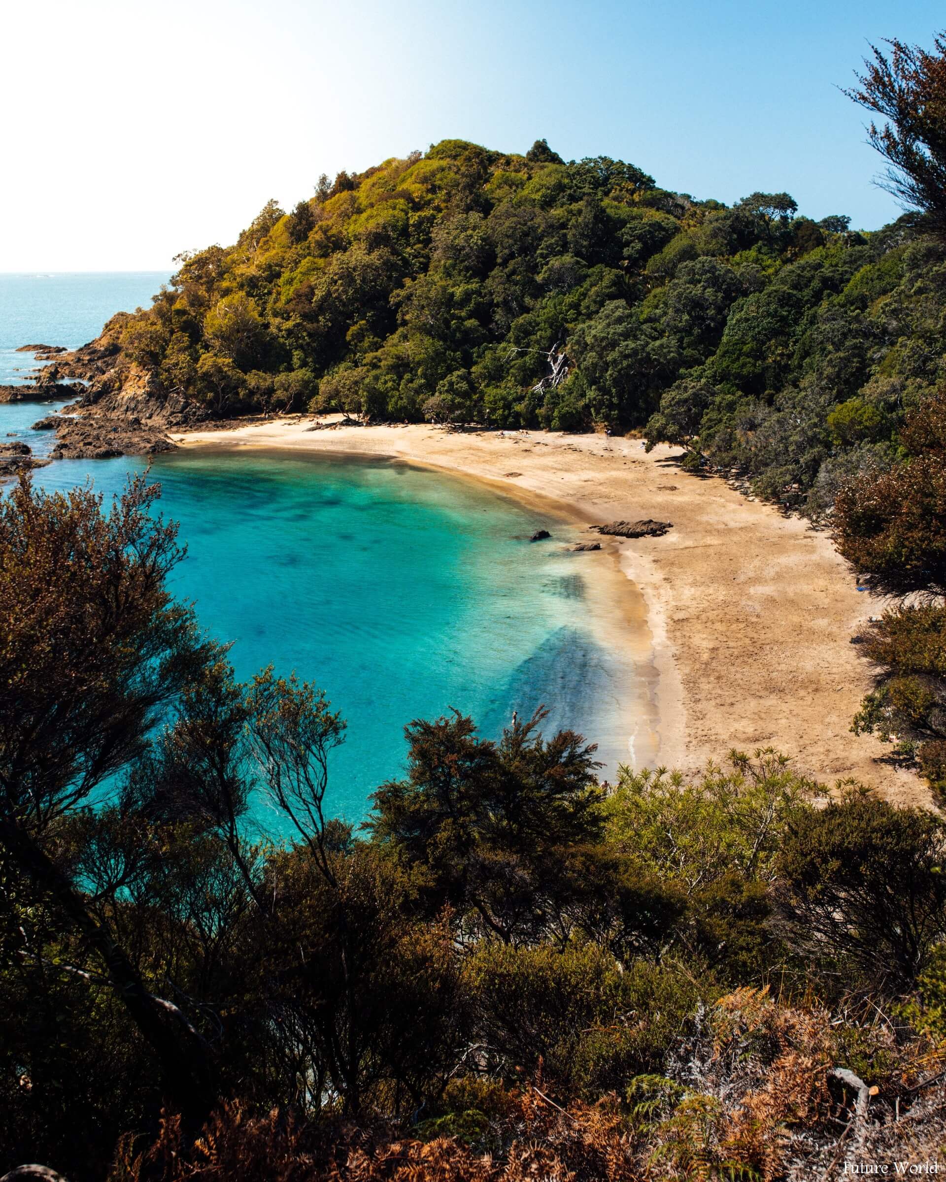 Top Destinations To Visit In Matapouri Bay, Northland