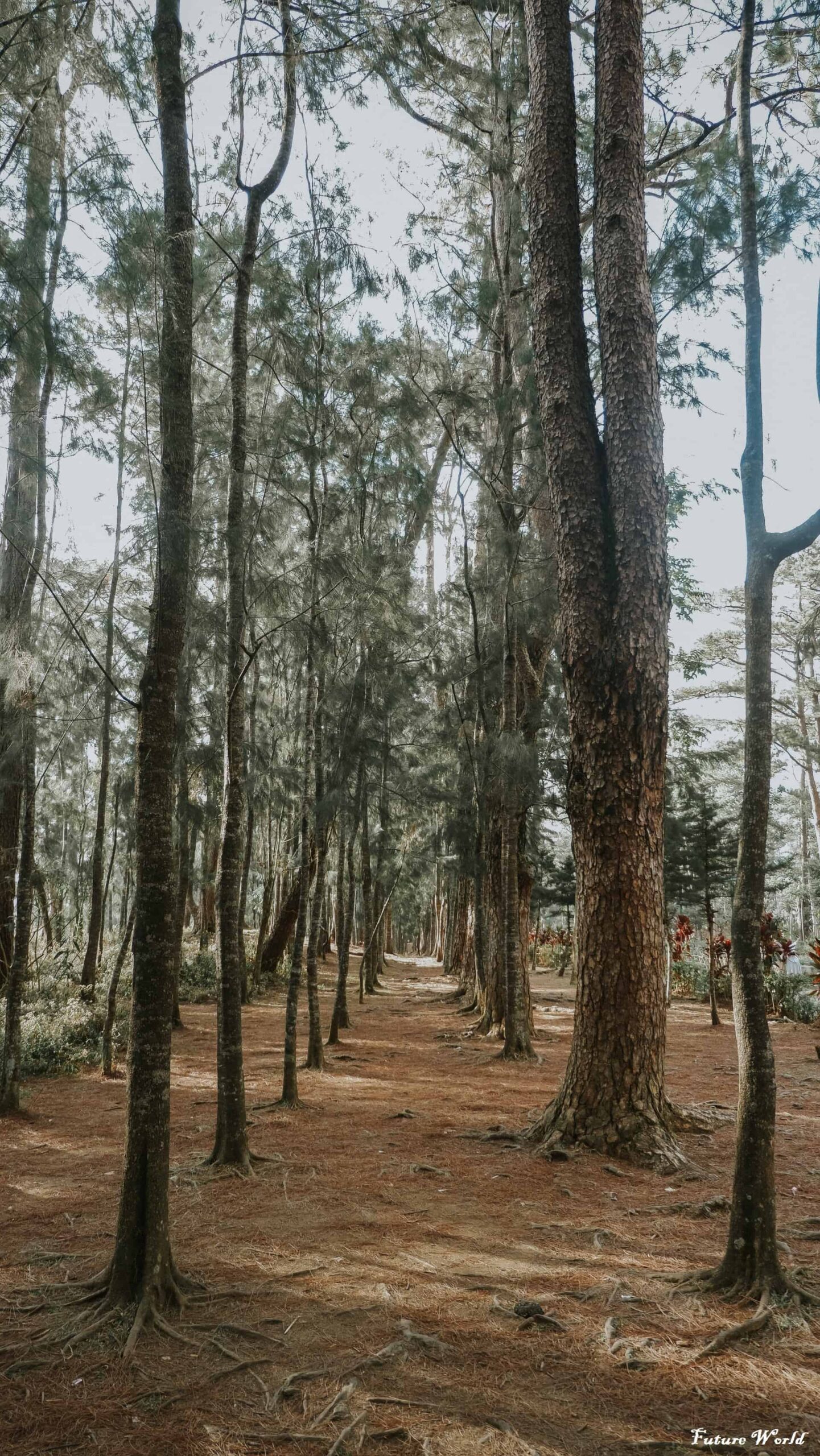 Best Places To Visit In Baguio
