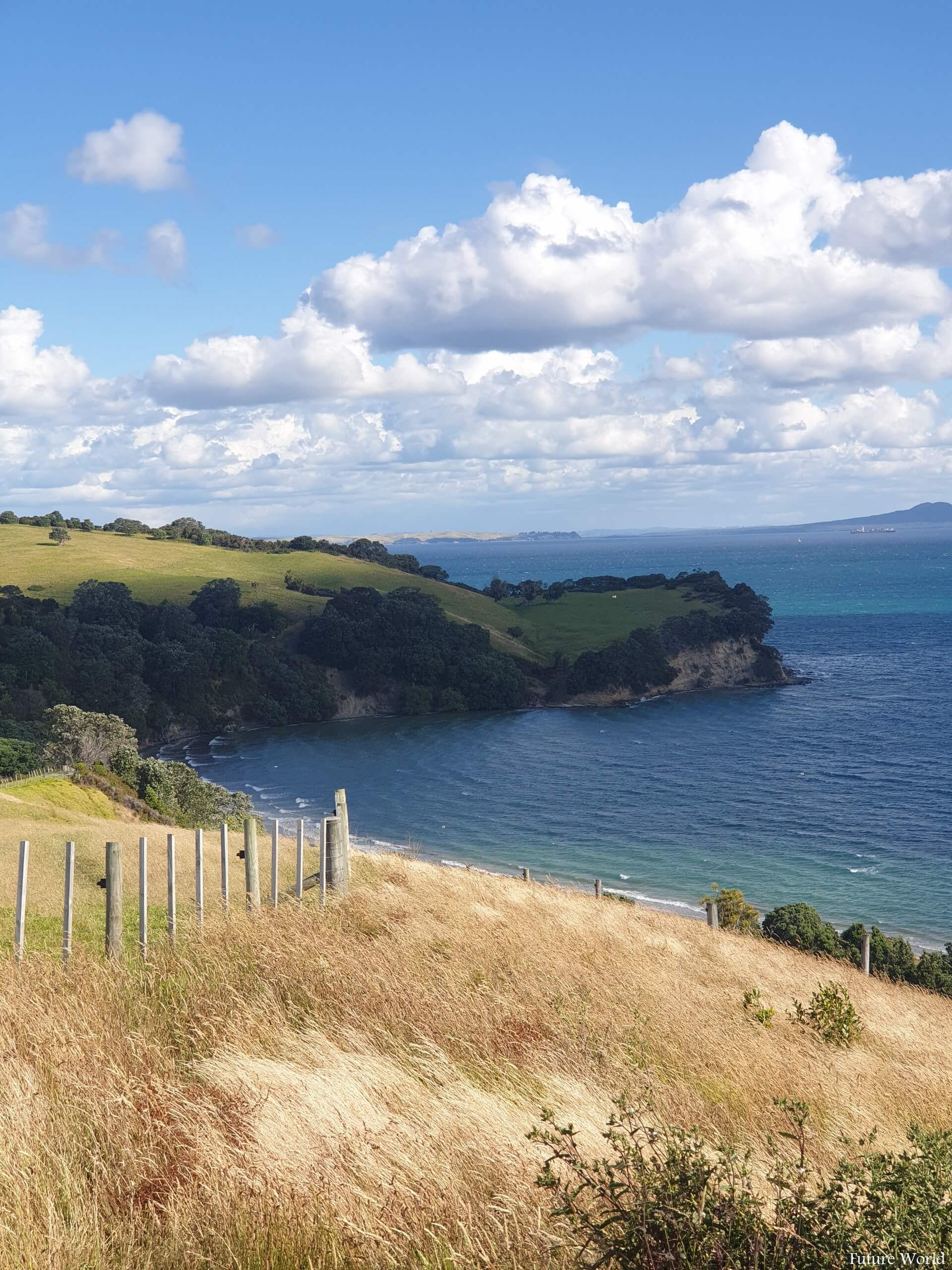 Top Tourist Attractions In Shakespear Regional Park