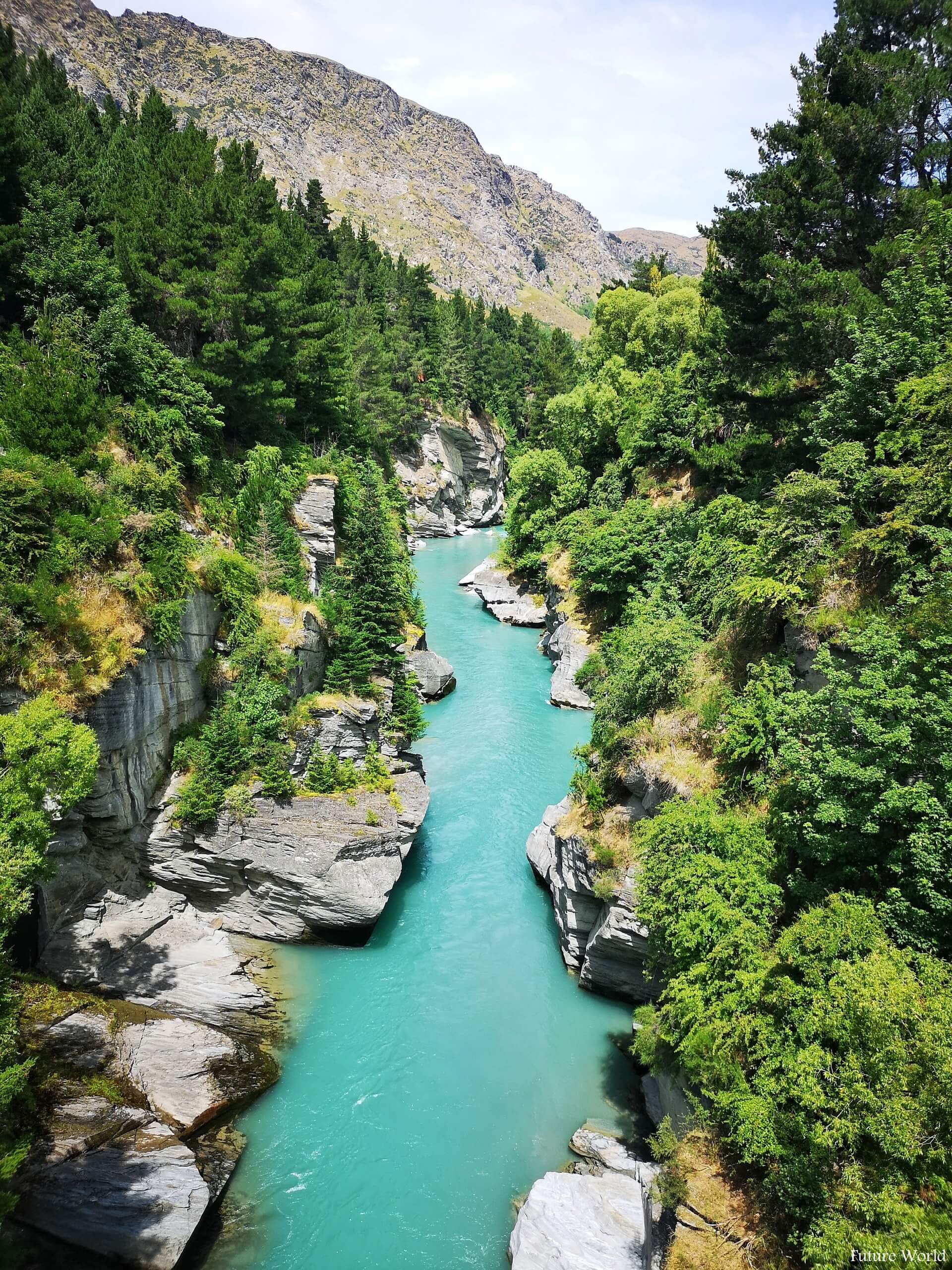 Best Things To Do In Shotover River, Otago
