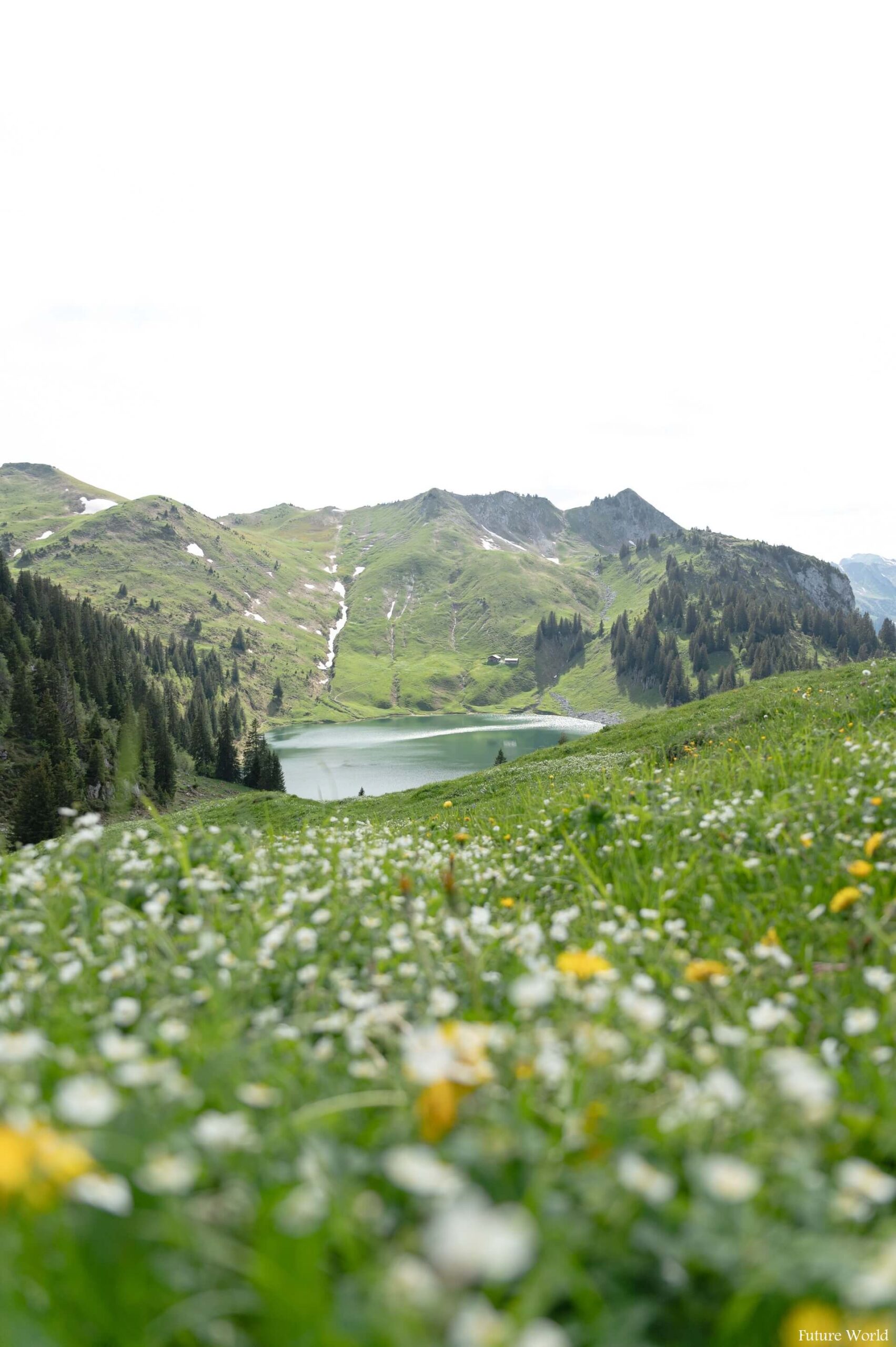 Ultimate Places To Explore In Oberstockensee Lake